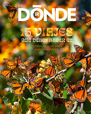 Portada gratis